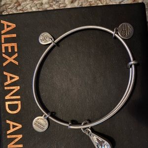 Alex and Ani charm Bracelet